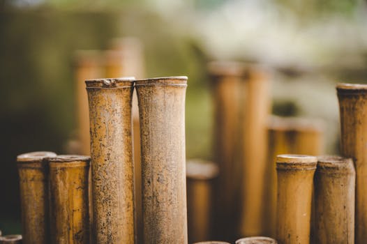 Bamboo Fly Rods: Unveiling Their Modern Revival & Unique Appeal