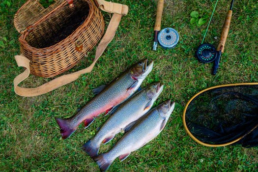 Ultimate Guide to Buying Bamboo Fly Fishing Rods: Tips & Prices