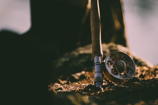 Debunking Myths: The Modern Appeal of Bamboo Fly Fishing Rods
