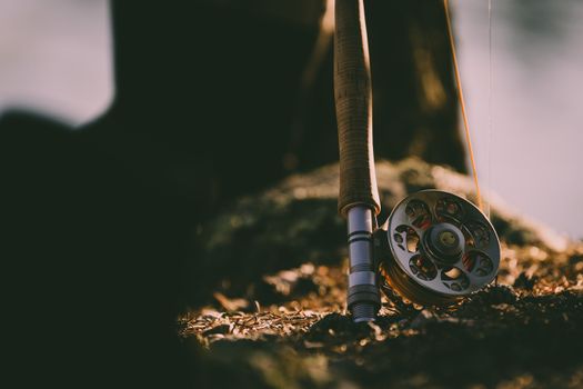 Top Bamboo Fly Fishing Rods 2023: Tradition Meets Modern Craftsmanship